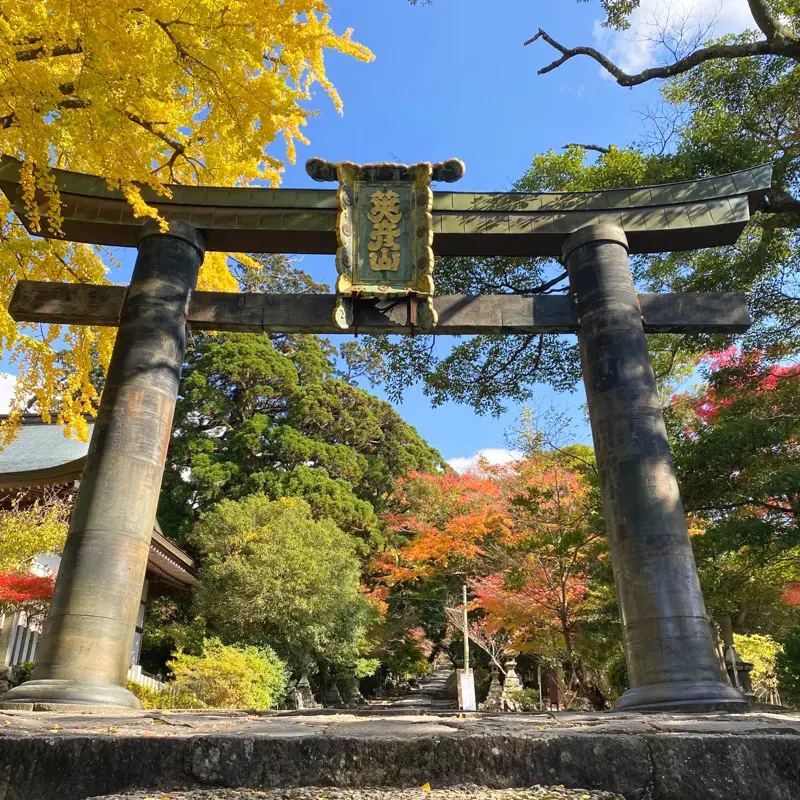 2023年初詣はどこに行く？筑豊のおすすめ初詣スポット、神社10選 - 筑豊情報マガジンWING