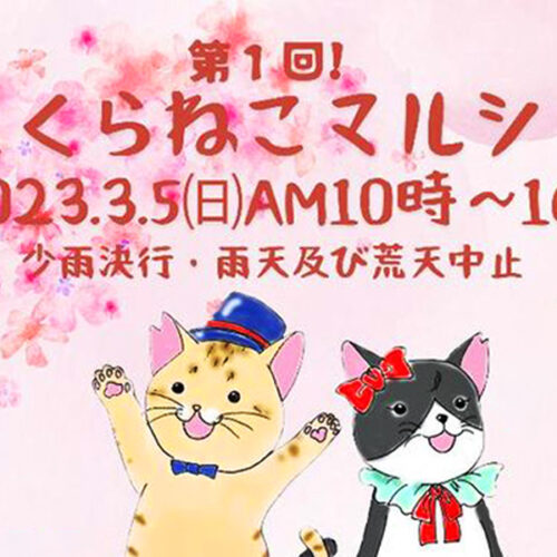 宮若】宮若追い出し猫～猫のひなめぐり～会期中（2/22〜3/15）「第1回