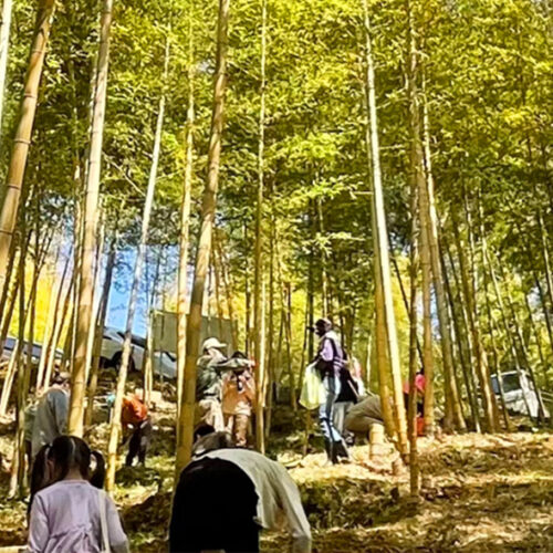 たけのこ掘り放題 - 筑豊情報マガジンWING