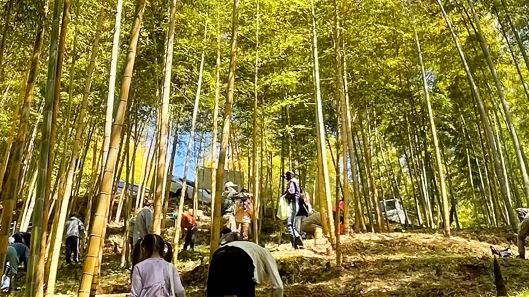 たけのこ掘り放題 - 筑豊情報マガジンWING