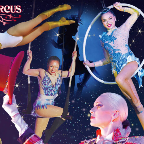 ev_po-circus_main-500x500.jpg