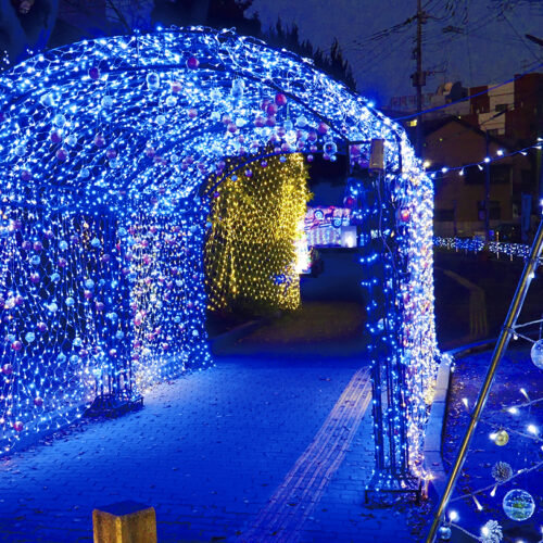 飯塚】11月26日（日）より飯塚緑道公園で「第12回 まちなか