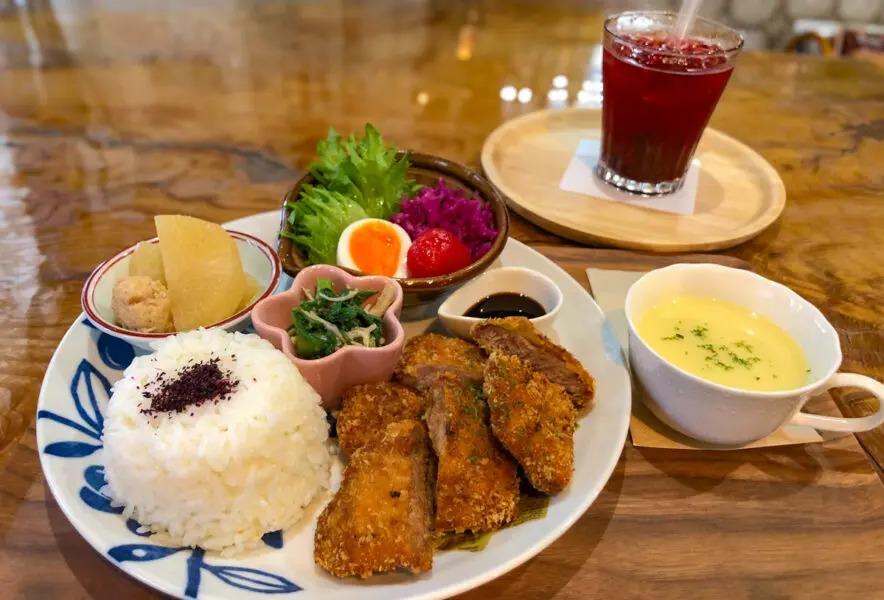 にこさんのねこさん ティーフォーワン 【公式通販】