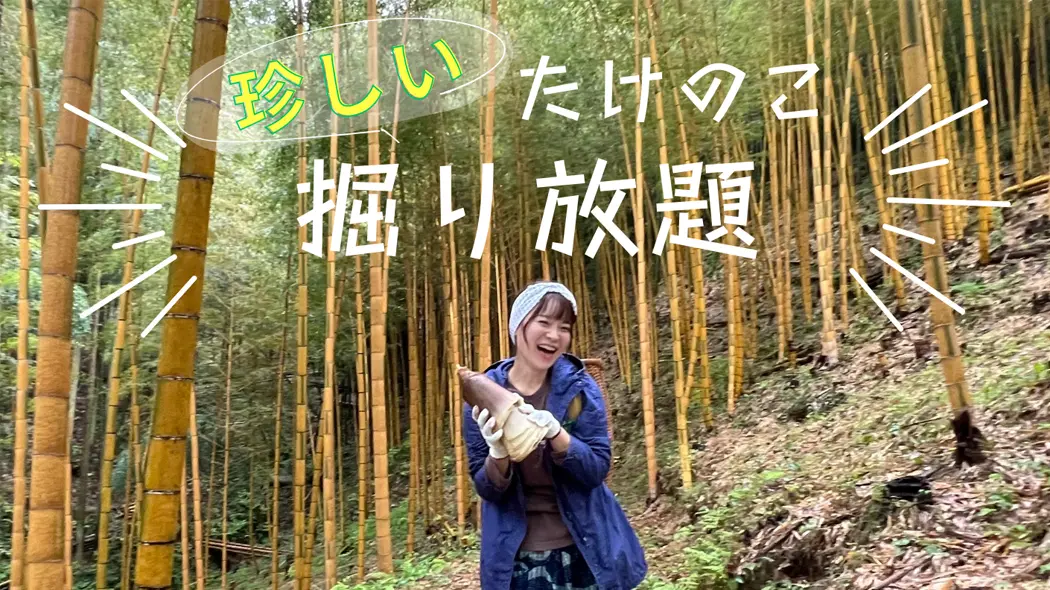 珍しいたけのこ掘り放題 - 筑豊情報マガジンWING