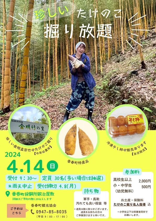 珍しいたけのこ掘り放題 - 筑豊情報マガジンWING