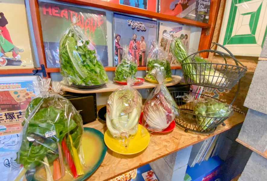 桂川】スーパーでは見かけない珍しい品種！ノガミファームの