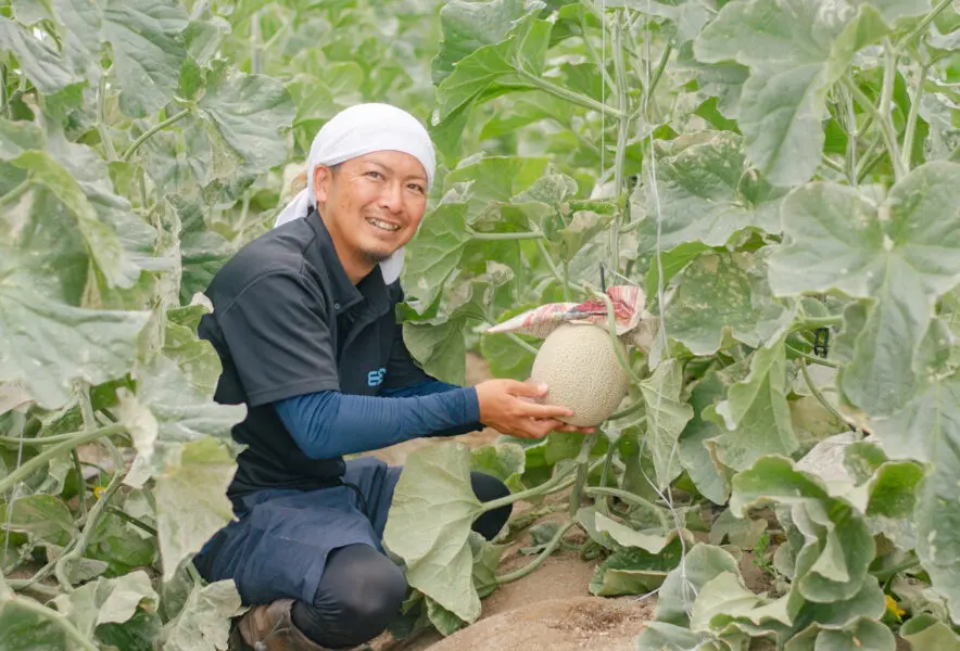 yamaoka-sanchi_mein-884x600.