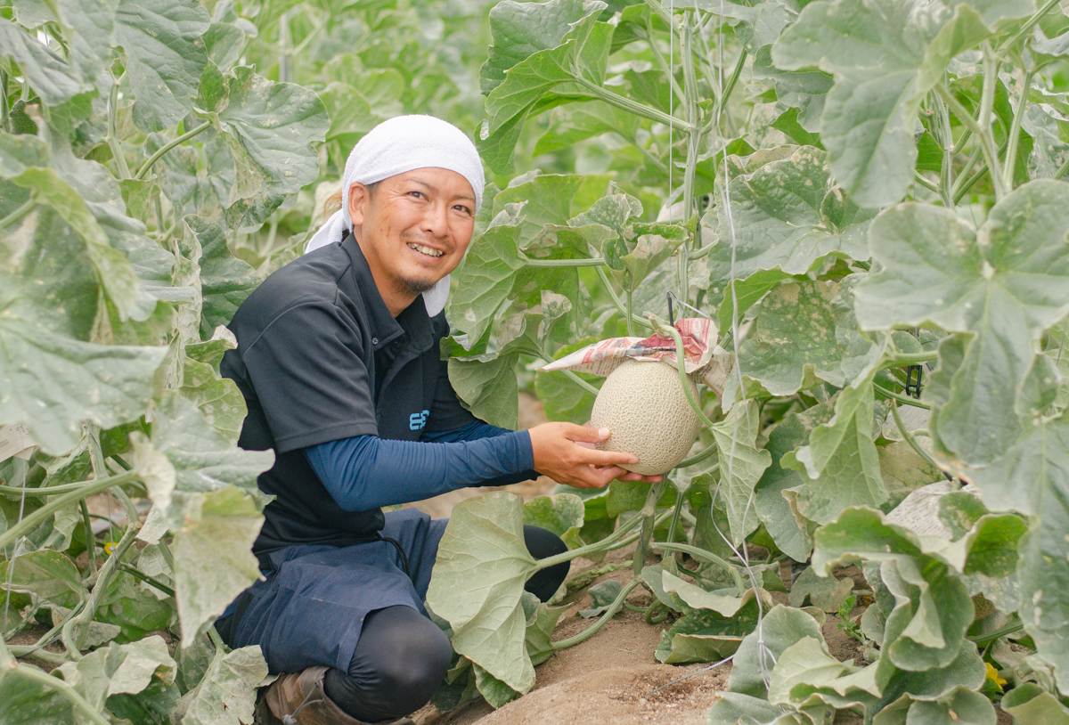 嘉麻】福岡・筑豊でマスクメロン栽培に挑む！ヤマオカサンチの「よか