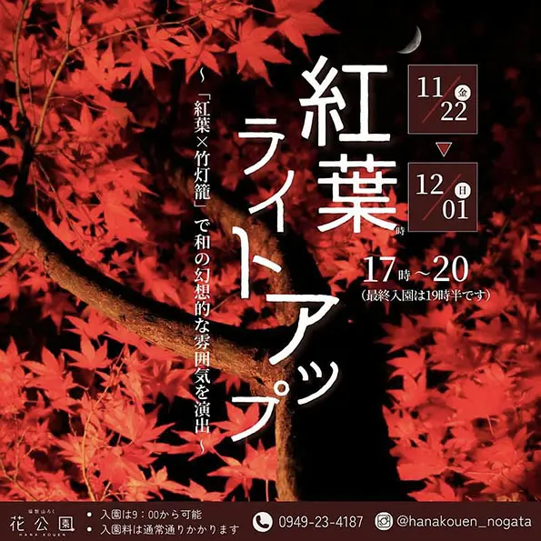 模写】【一灯】ip5816〈上田耕甫〉月下紅葉図 共箱 大阪の人