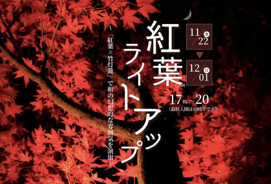 momiji-lightup_main-884x600.