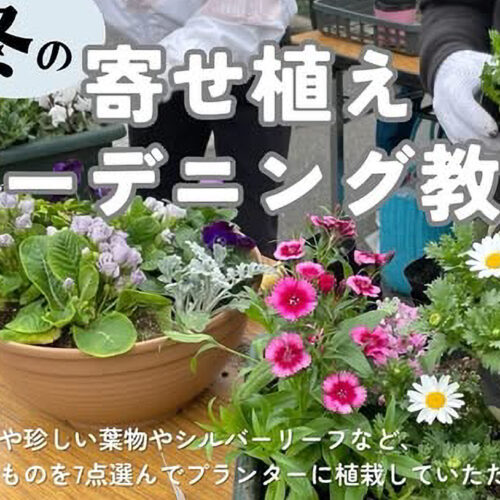 winter-gardening-class_main-