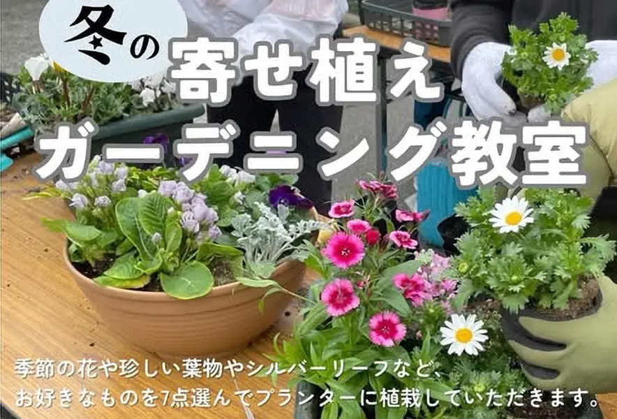 直方】1月11日（土）・12日（日）福智山ろく花公園で「寄せ植え