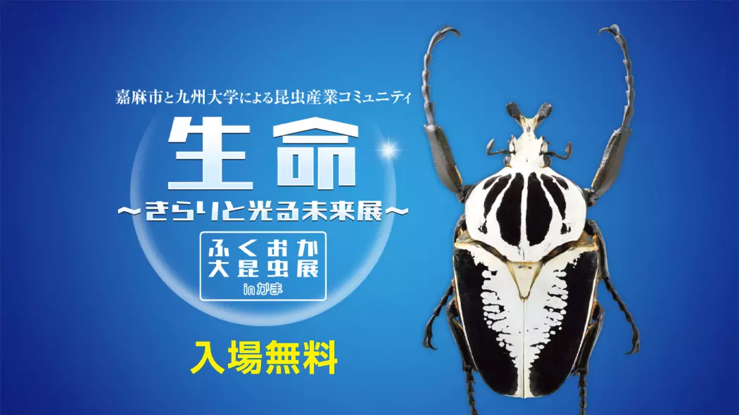 ev_fukuoka-daikonchu-ten_main.