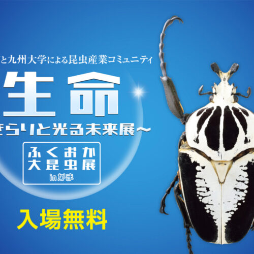 嘉麻】3月15日（土）夢サイトかほで「生命～きらりと光る未来展