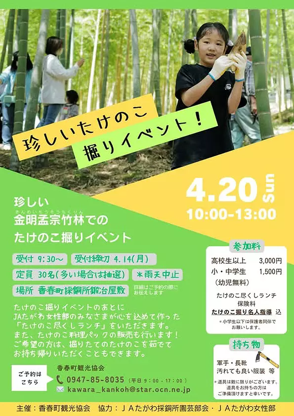 珍しいたけのこ掘りイベント - 筑豊情報マガジンWING