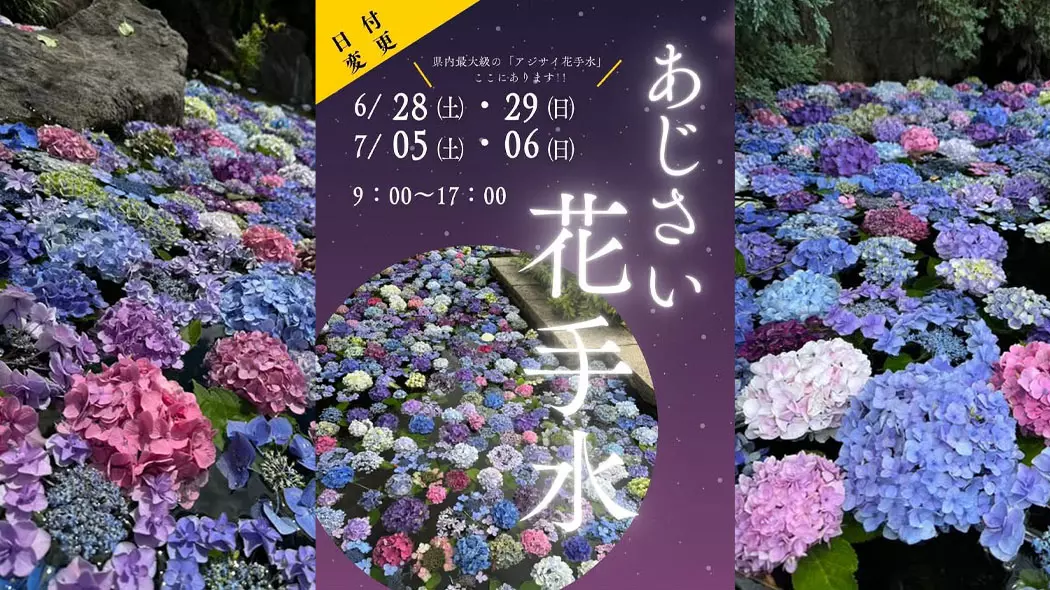 福智山ろく花公園「あじさい花手水」 - 筑豊情報マガジンWING