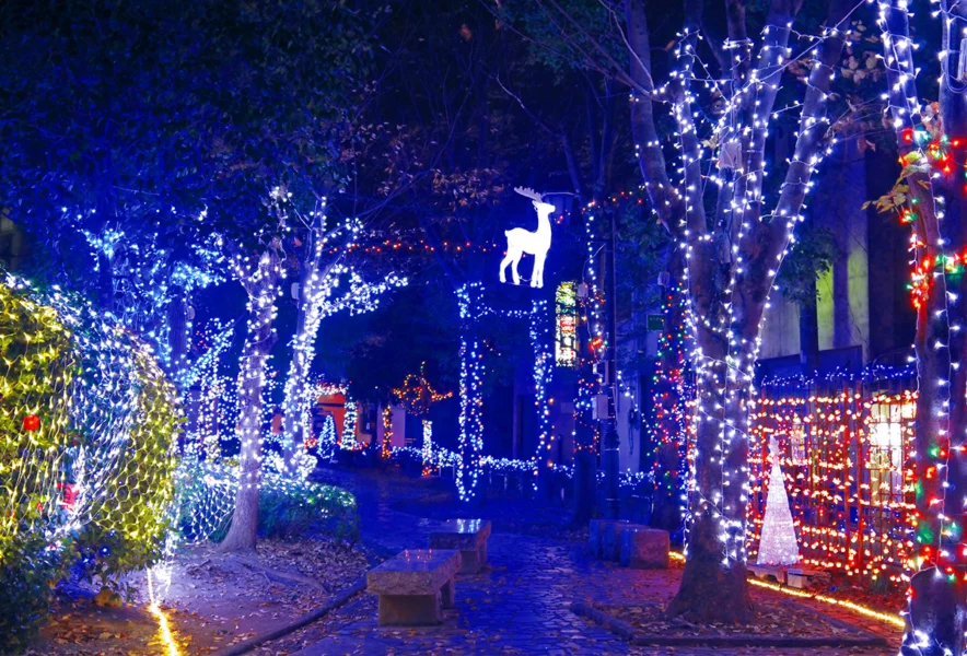 福岡・筑豊イルミネーション2025！今年も筑豊の夜を光の渦で包み込む