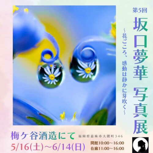 嘉麻】5月16日（土）～6月14日（日）梅ケ谷酒造で「第5回 坂口夢華
