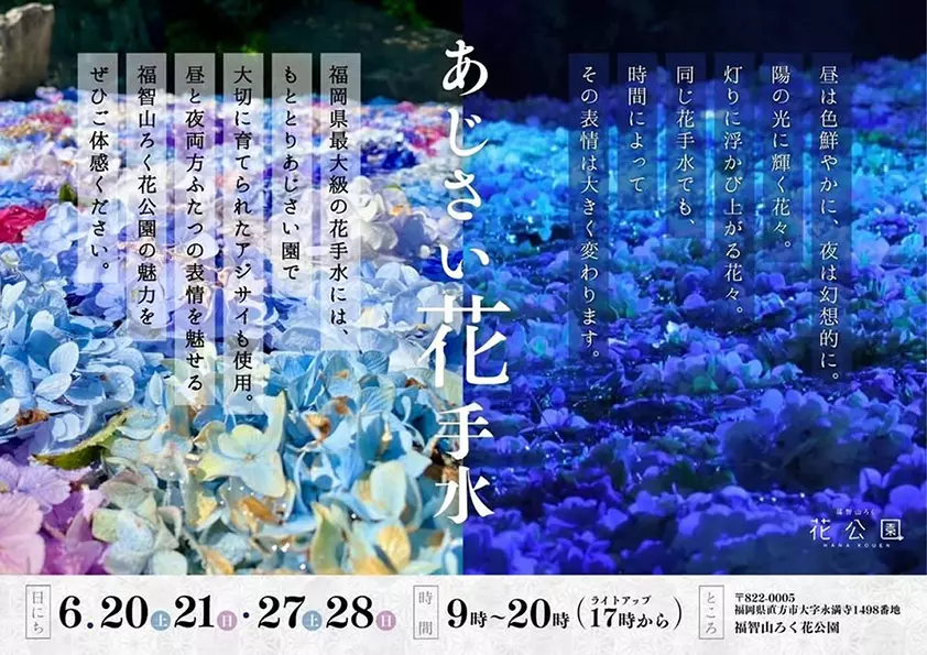 直方】6月第3・第4週の土日に、福智山ろく花公園で「あじさい花手水