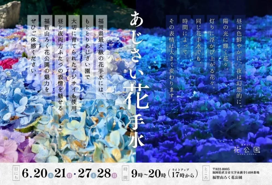 直方】6月第3・第4週の土日に、福智山ろく花公園で「あじさい花手水