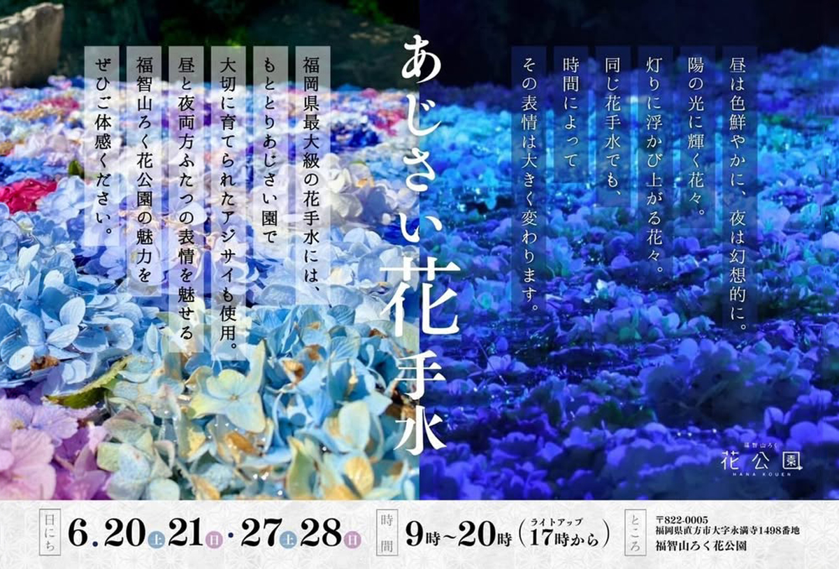 直方】6月第3・第4週の土日に、福智山ろく花公園で「あじさい花手水