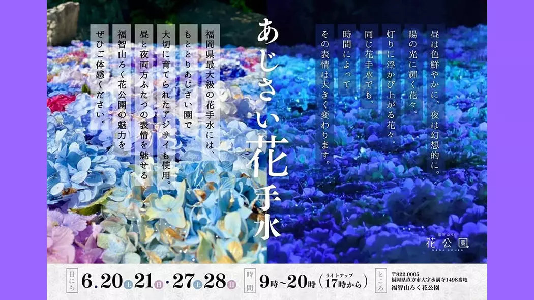 花空さま専用（原画）秋夜の森の祝福 #3　ほか　3点おまとめ 福智山ろく花公園「あじさい花手水」 - 筑豊情報マガジンWING