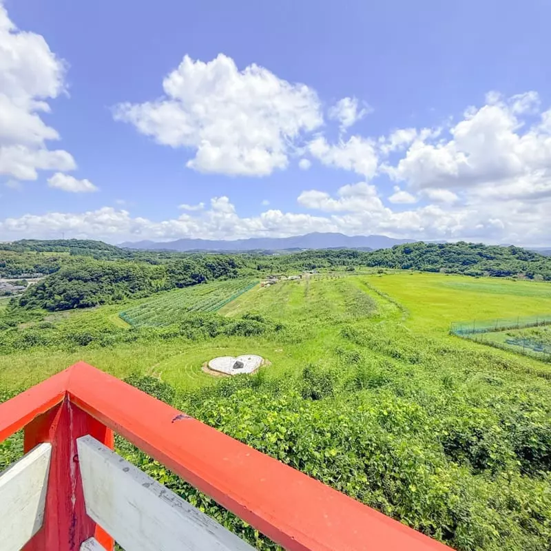小竹】ボタ山から生まれたブルーベリー農園。山の里自然農園で